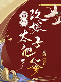 重生嫁给太子之后 小说