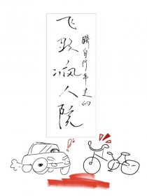 飞跃疯人院原著小说讲了什么